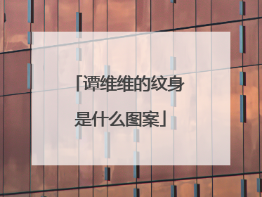 谭维维的纹身是什么图案