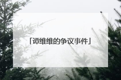 谭维维的争议事件