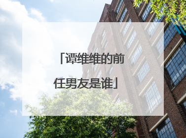 谭维维的前任男友是谁