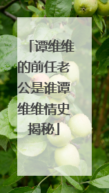 谭维维的前任老公是谁谭维维情史揭秘