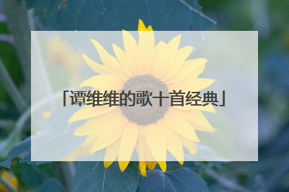 谭维维的歌十首经典