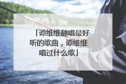 谭维维翻唱最好听的歌曲，谭维维唱过什么歌