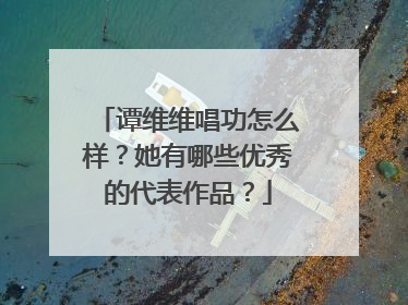 谭维维唱功怎么样？她有哪些优秀的代表作品？