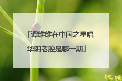 谭维维在中国之星唱华阴老腔是哪一期