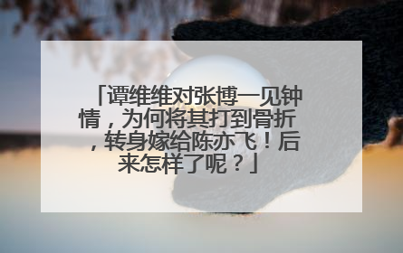 谭维维对张博一见钟情，为何将其打到骨折，转身嫁给陈亦飞！后来怎样了呢？