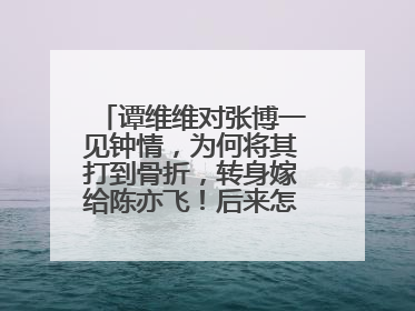 谭维维对张博一见钟情，为何将其打到骨折，转身嫁给陈亦飞！后来怎样了呢？