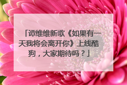 谭维维新歌《如果有一天我将会离开你》上线酷狗,大家期待吗?