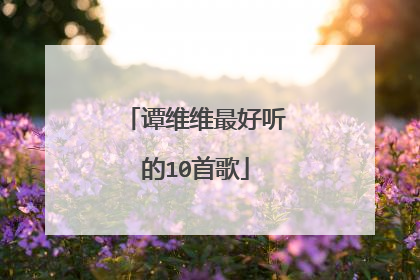 谭维维最好听的10首歌