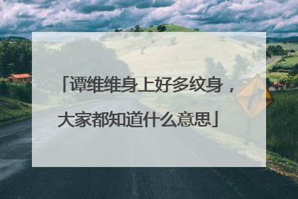 谭维维身上好多纹身,大家都知道什么意思