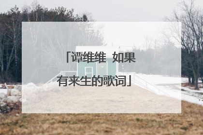 谭维维 如果有来生的歌词