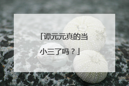 谭元元真的当小三了吗？