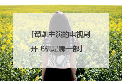 谭凯主演的电视剧开飞机是哪一部