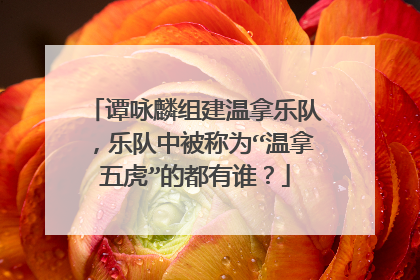 谭咏麟组建温拿乐队，乐队中被称为“温拿五虎”的都有谁？