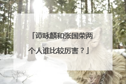 谭咏麟和张国荣两个人谁比较厉害？