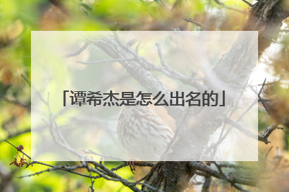 谭希杰是怎么出名的