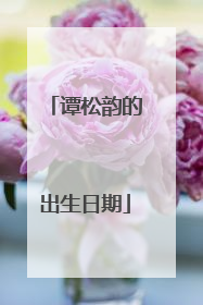 谭松韵的出生日期