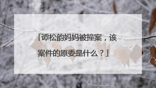 谭松韵妈妈被撞案,该案件的原委是什么?