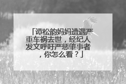 谭松韵妈妈遭遇严重车祸去世，经纪人发文呼吁严惩肇事者，你怎么看？