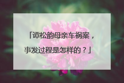 谭松韵母亲车祸案，事发过程是怎样的？