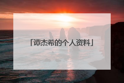 谭杰希的个人资料