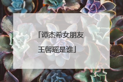 谭杰希女朋友王馨瑶是谁