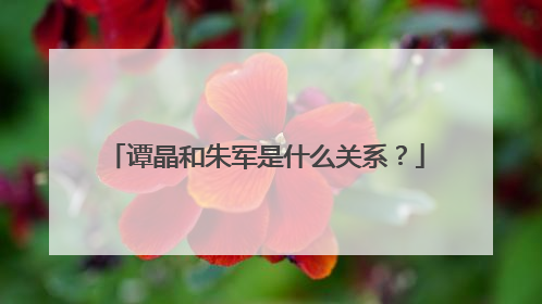 谭晶和朱军是什么关系?