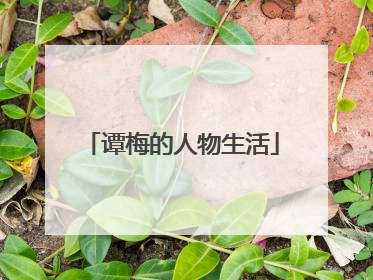 谭梅的人物生活