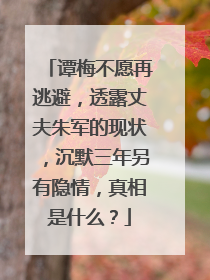 谭梅不愿再逃避，透露丈夫朱军的现状，沉默三年另有隐情，真相是什么？