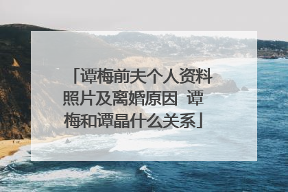 谭梅前夫个人资料照片及离婚原因 谭梅和谭晶什么关系