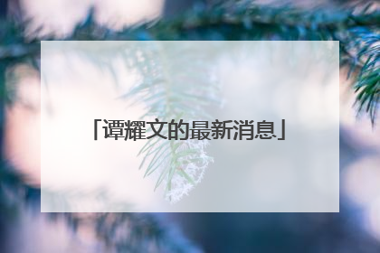 谭耀文的最新消息