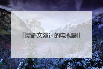 谭耀文演过的电视剧