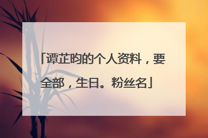 谭芷昀的个人资料，要全部，生日。粉丝名