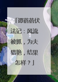 谭蓓蓓伏法记：风流被抓，为夫猎艳，结果怎样？