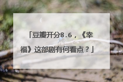 豆瓣开分8.6，《幸福》这部剧有何看点？