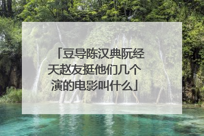 豆导陈汉典阮经天赵友挺他们几个演的电影叫什么