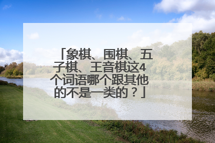 象棋、围棋、五子棋、王音棋这4个词语哪个跟其他的不是一类的？