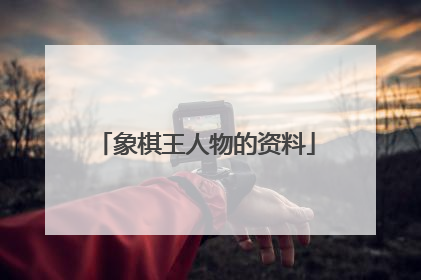 象棋王人物的资料