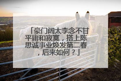 豪门阔太李念不甘平庸和寂寞,搭上陈思诚事业焕发第二春,后来如何?