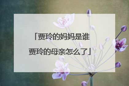 贾玲的妈妈是谁 贾玲的母亲怎么了