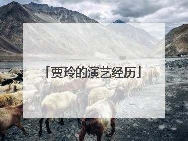 贾玲的演艺经历