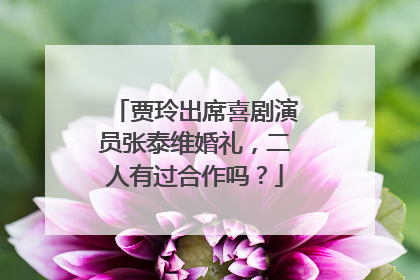 贾玲出席喜剧演员张泰维婚礼，二人有过合作吗？