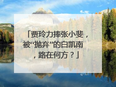 贾玲力捧张小斐，被“抛弃”的白凯南，路在何方？