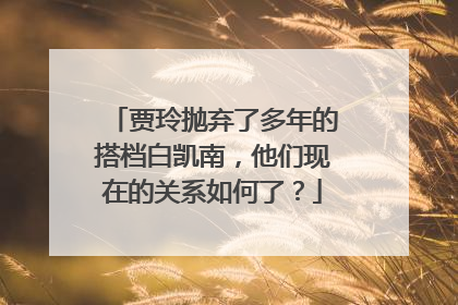 贾玲抛弃了多年的搭档白凯南，他们现在的关系如何了？