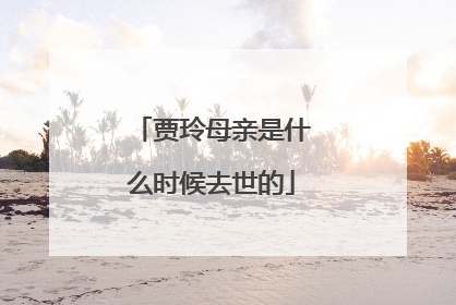 贾玲母亲是什么时候去世的