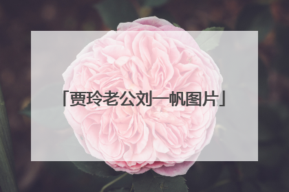 贾玲老公刘一帆图片