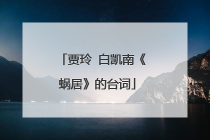 贾玲 白凯南《蜗居》的台词