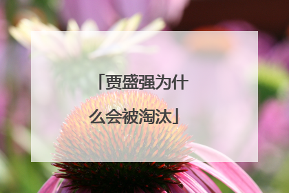 贾盛强为什么会被淘汰