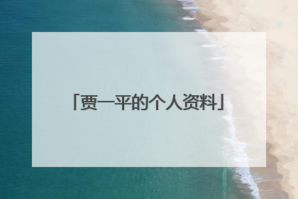 贾一平的个人资料