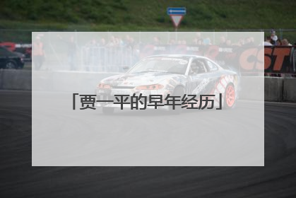 贾一平的早年经历