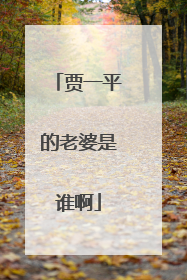 贾一平的老婆是谁啊